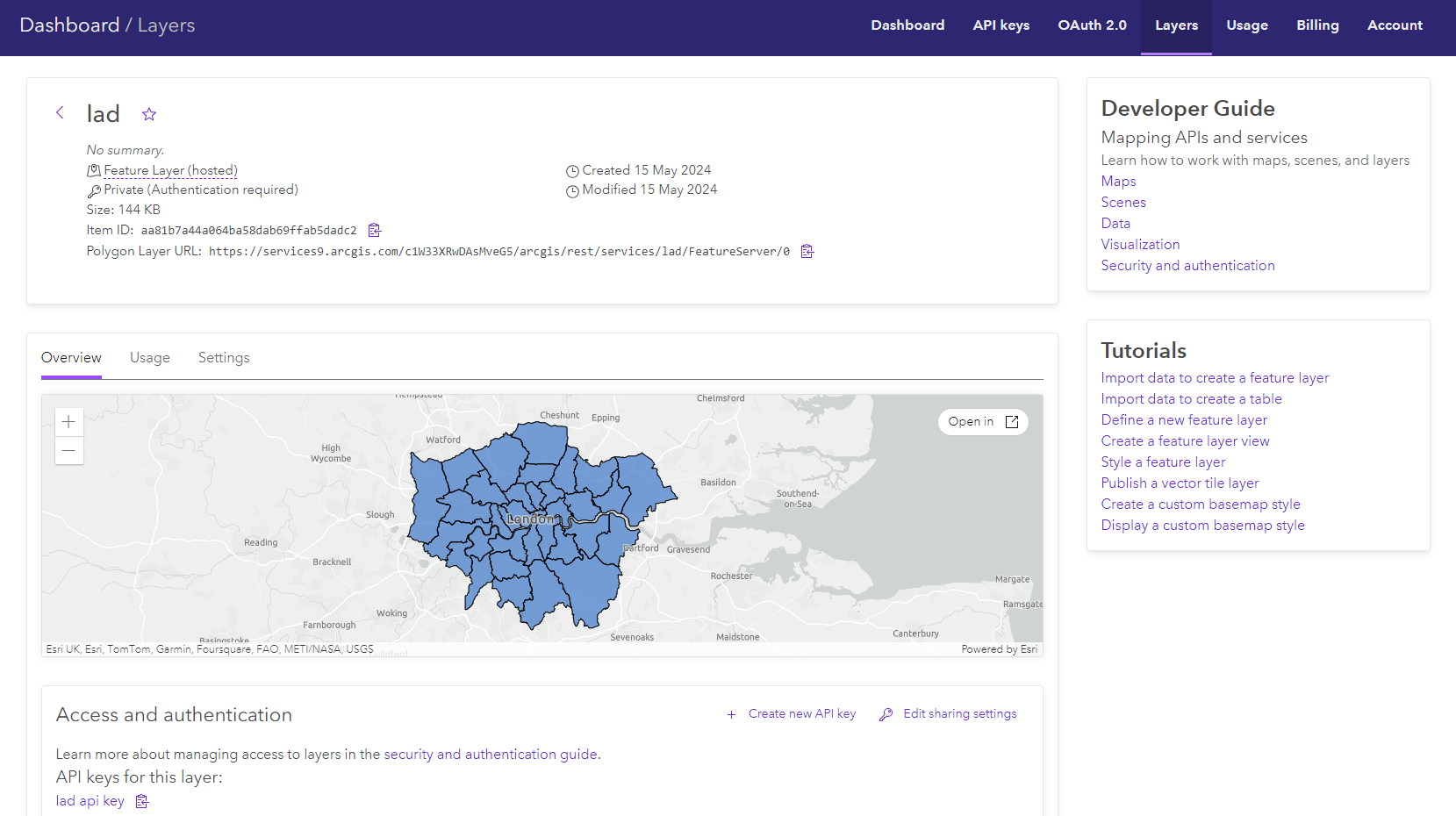 Esri Feature Layer in ArcGIS